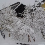 Neve nel giardino dell'Hotel Corsaro - snow in Hotel Corsaro garden