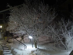 Christmas and New Year's Day on Etna