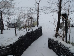 Finalmente neve in buona quantità