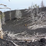 Krabusch Etna May 2010