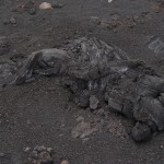 Hotel Corsaro Etna - Dead Dune's sand worm - volcanic bomb