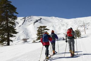 Sci Alpinismo sull'Etna escursioni guidate sulla neve