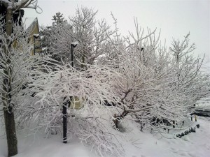 Hotel Etna e neve 4