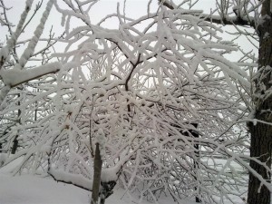 Hotel Etna e neve 3