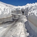 Il senso di Alessandro per la neve