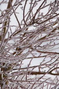 Hotel sulla neve sull'Etna a Nicolosi