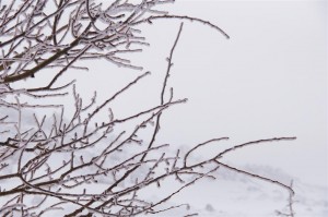 Hotel sulla neve sull'Etna a Nicolosi