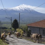 Henning 2014 Etna