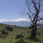 Henning 2014 Etna Corsaro